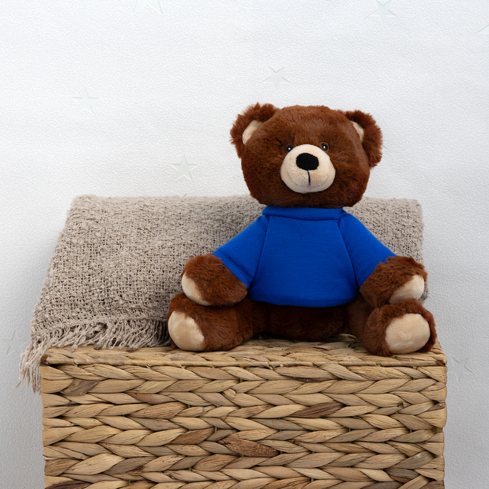 MiniFeet® RecycelBär® Teddy Bear Brown - royal blue